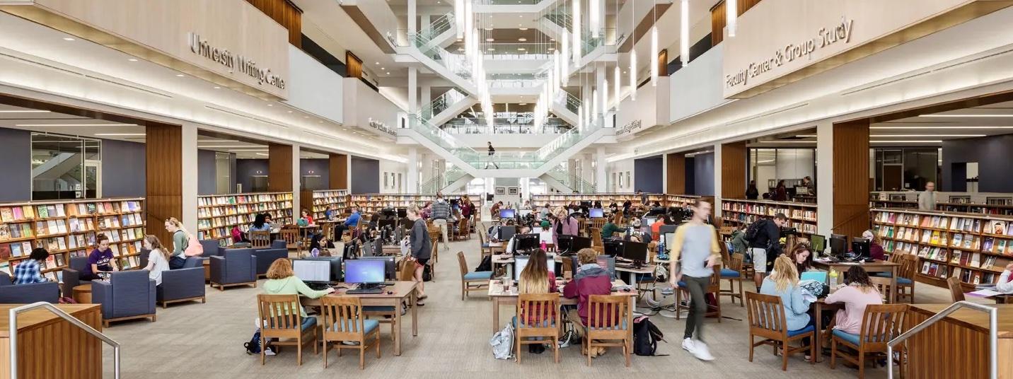 Salisbury students studying in the library