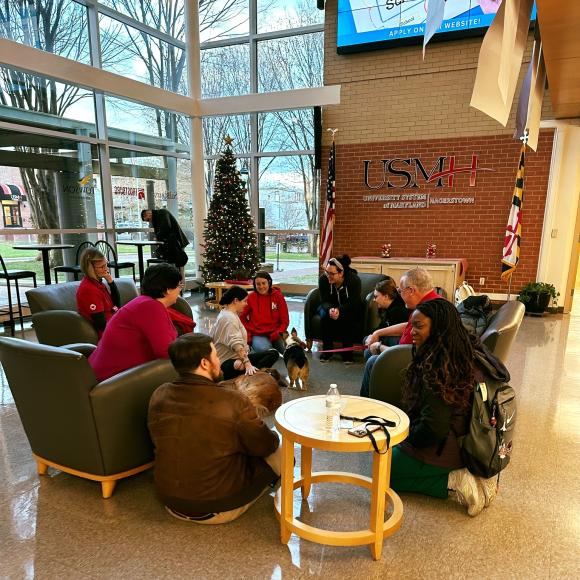 Therapy Dogs 2023